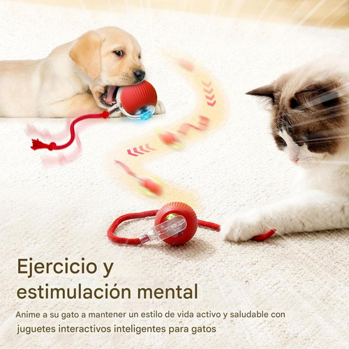Pelota Interactiva Para Mascotas