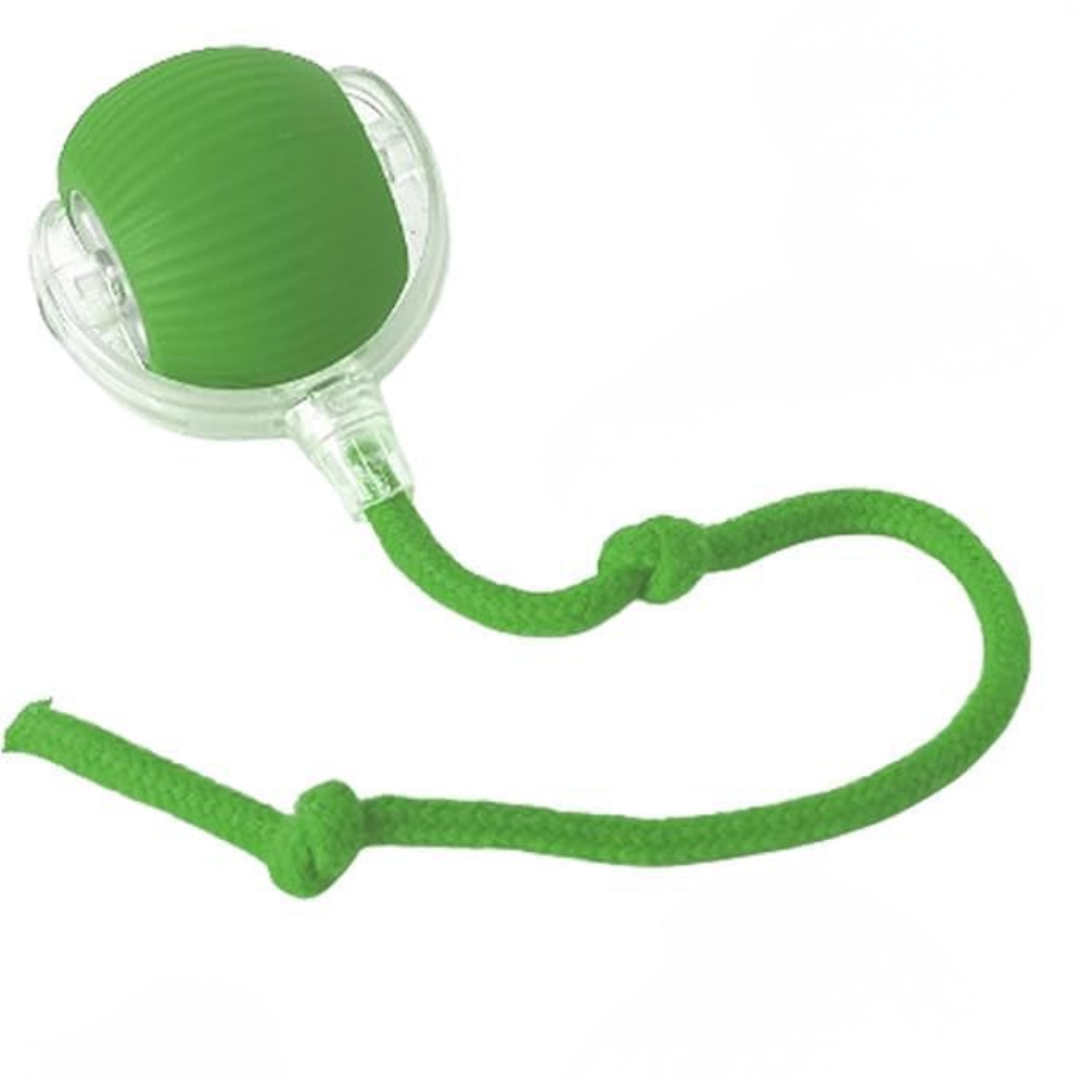 Pelota Interactiva Para Mascotas