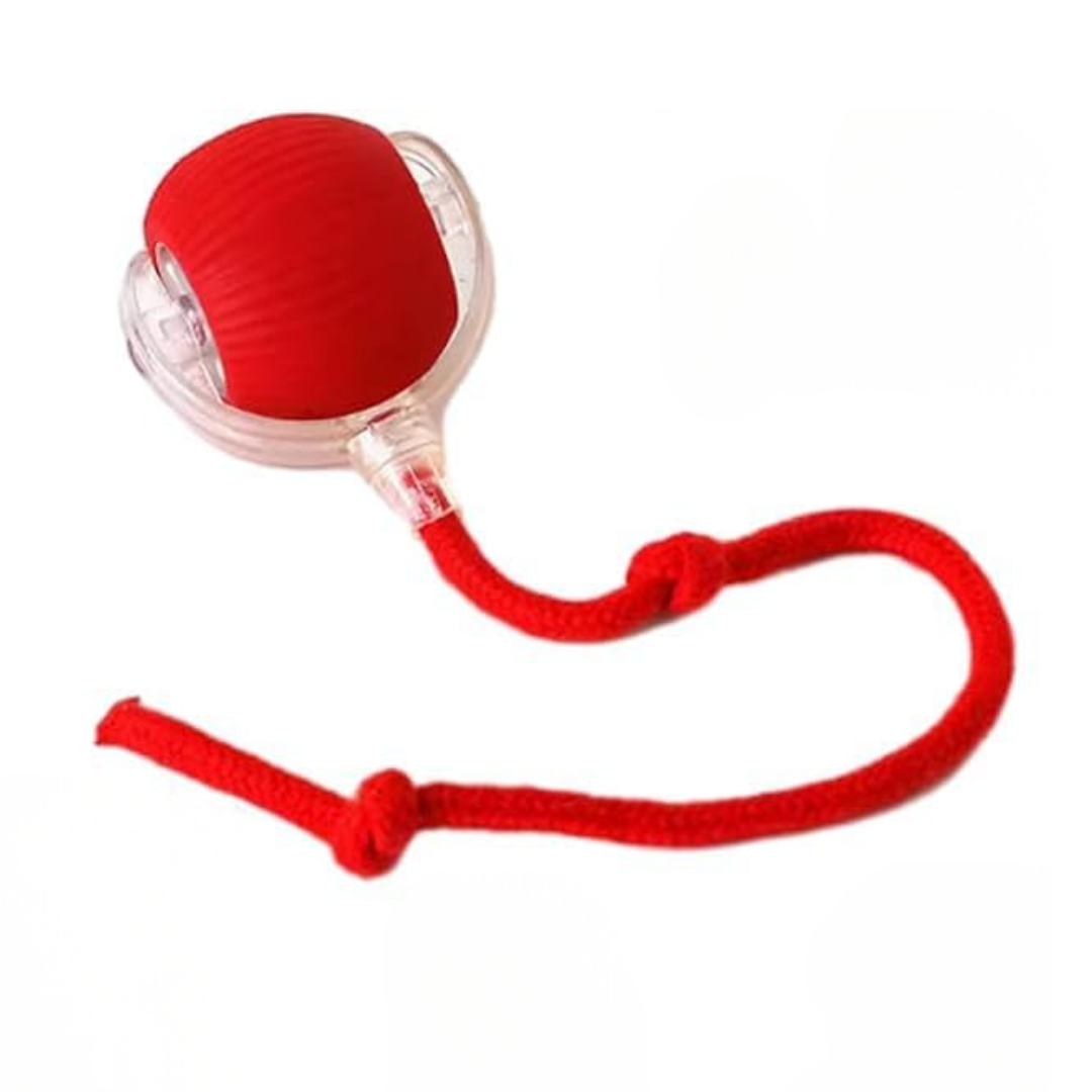 Pelota Interactiva Para Mascotas