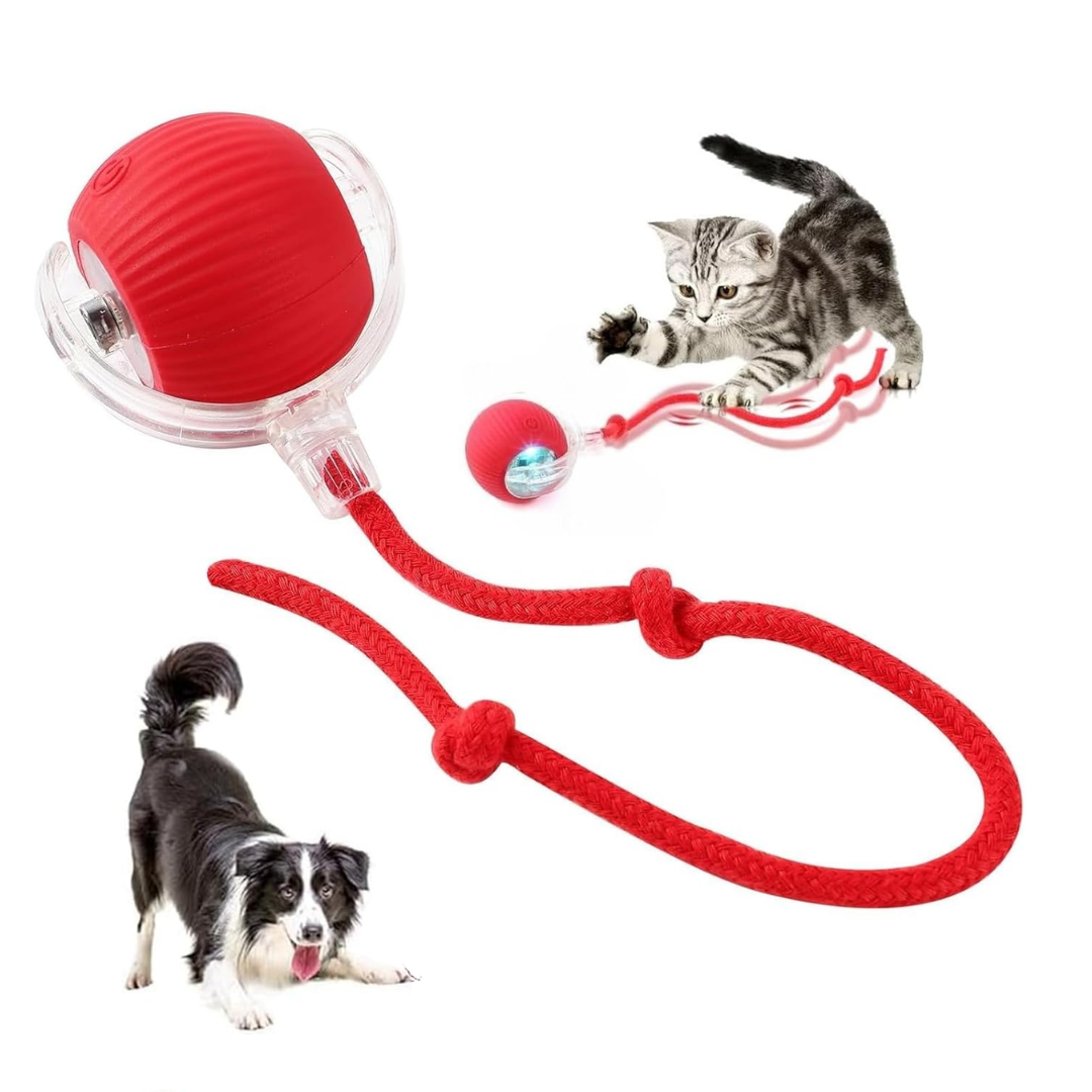 Pelota Interactiva Para Mascotas